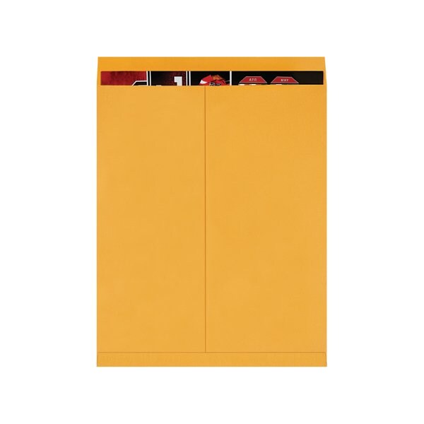 Bsc Preferred 22 x 27'' Kraft Jumbo Envelopes, 100PK BUY00020450 - main